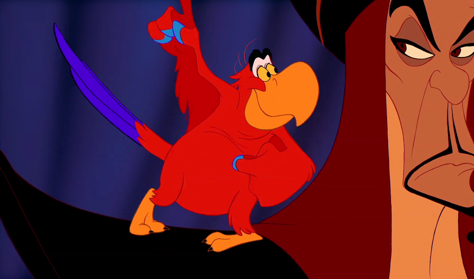 Here Are 9 Parrots I Think Should Be Cast As Iago In Disney Rsquo S Live Action Aladdin Hellogiggles