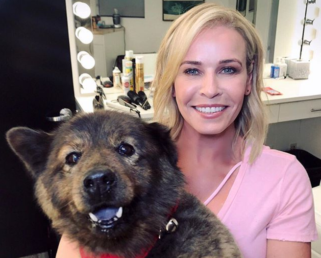 Chelsea Handler Rsquo S Dog Tammy Died And We Rsquo Re Sending Her All The Love Hellogiggles