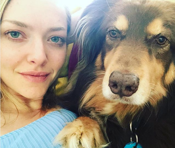 16 Celebrities Who Have Adopted A Shelter Pet Or Two Hellogiggles