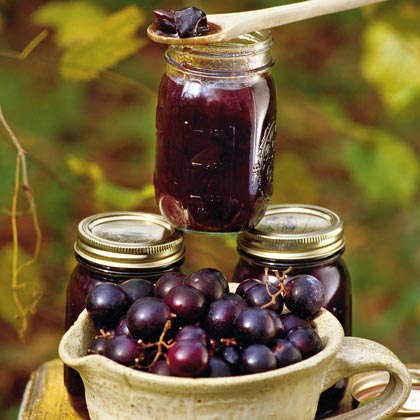 sirop sauces MUSCADINE/Scuppernong Mix JELLY * VIN JUS 12 Graines Medicinal