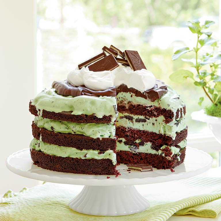Creamy Mint Chocolate Ref cake