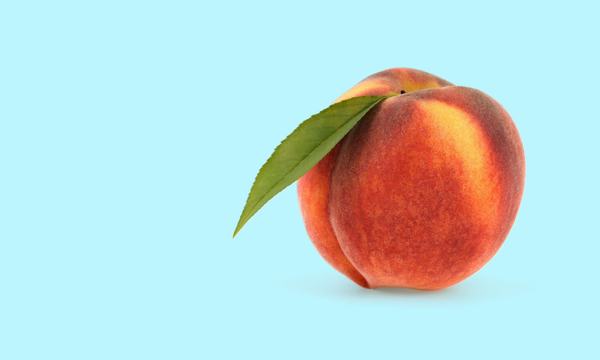 Peach 🍑 Peach