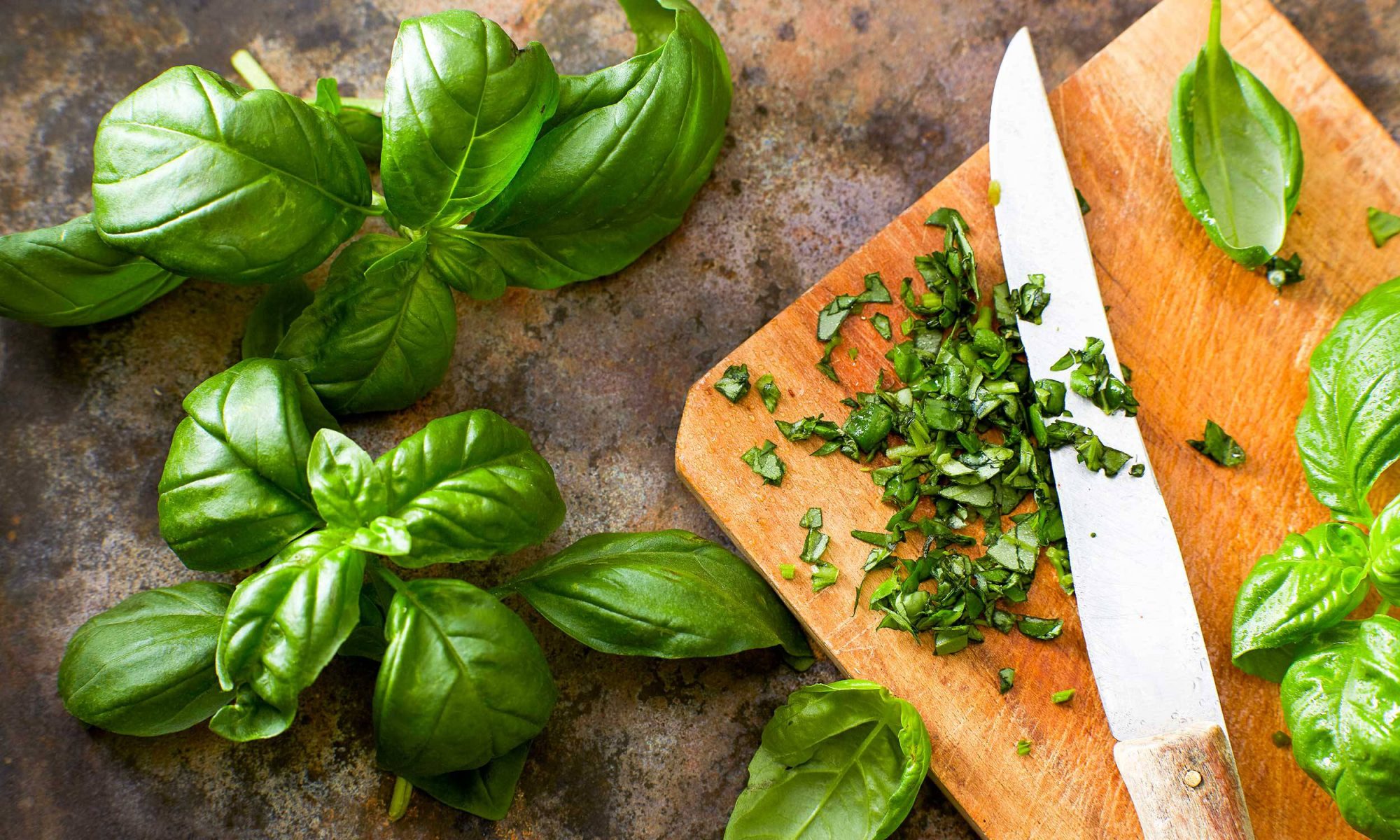 How to Store Fresh Basil MyRecipes