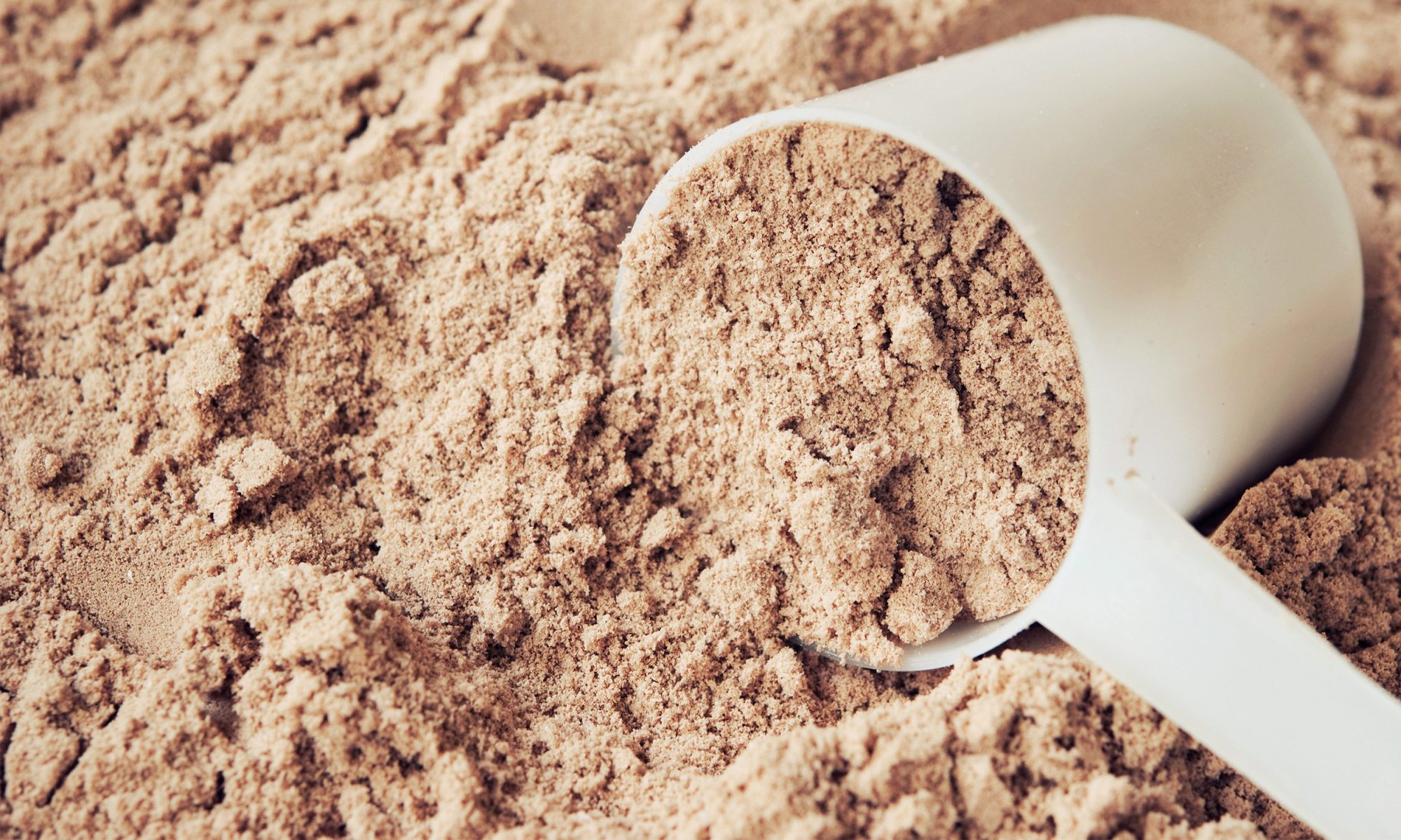 What Does Protein Powder Contain? | MyRecipes