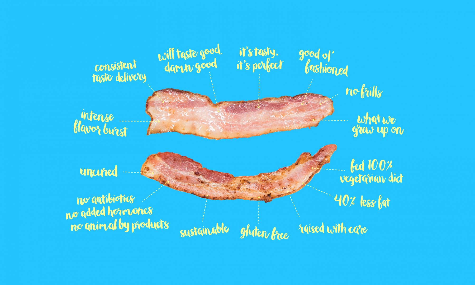 BACON definition and meaning