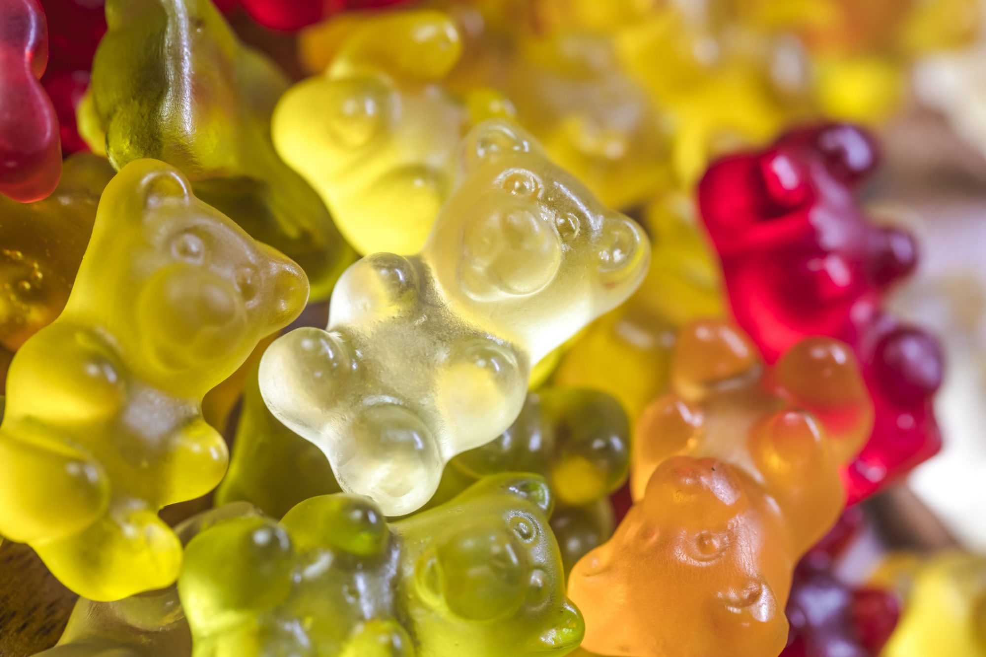 Gummy bear maker Haribo slammed for suppliers' labor practices