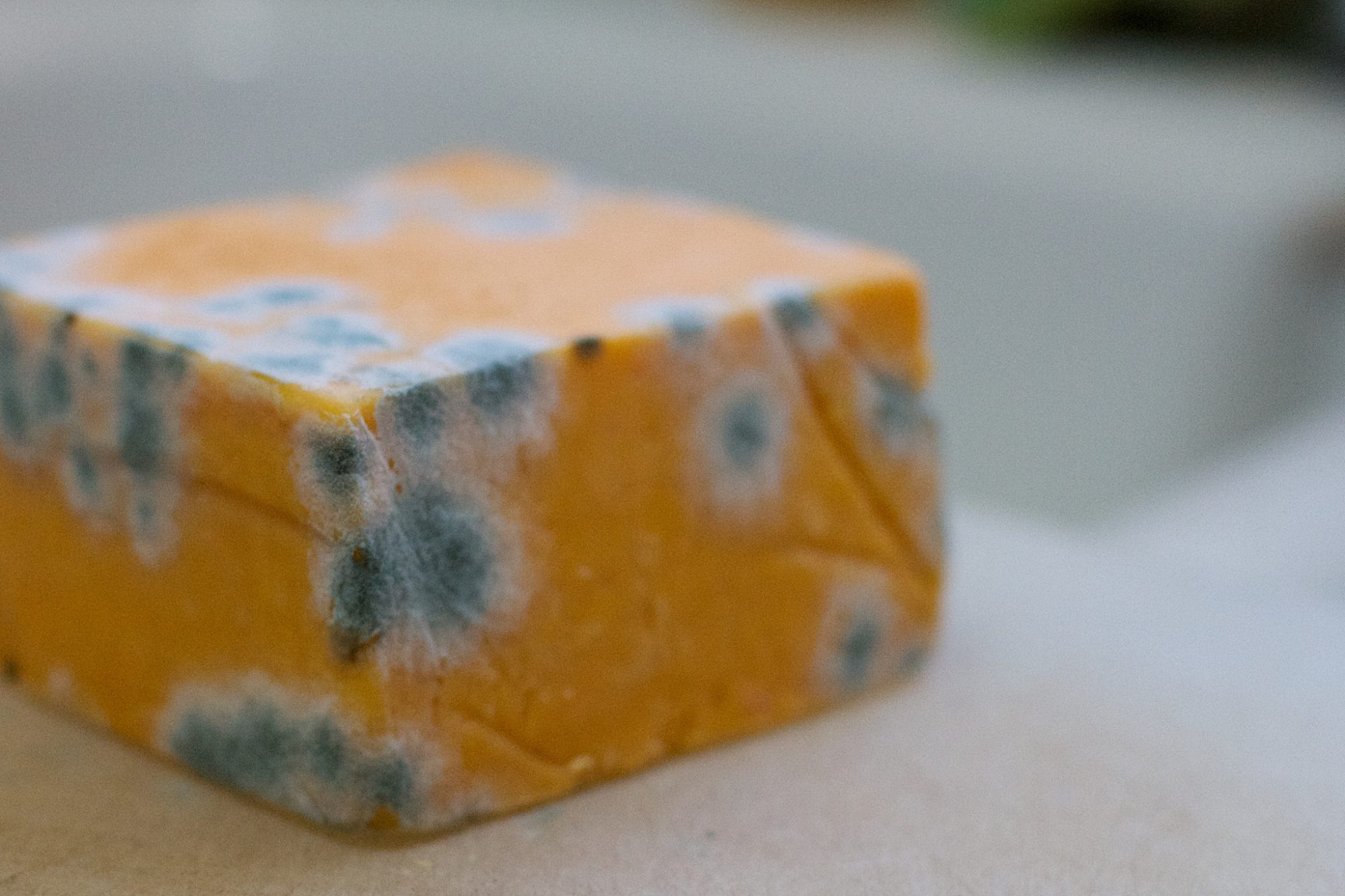 Is Mold On Cheese Bad For You Myrecipes