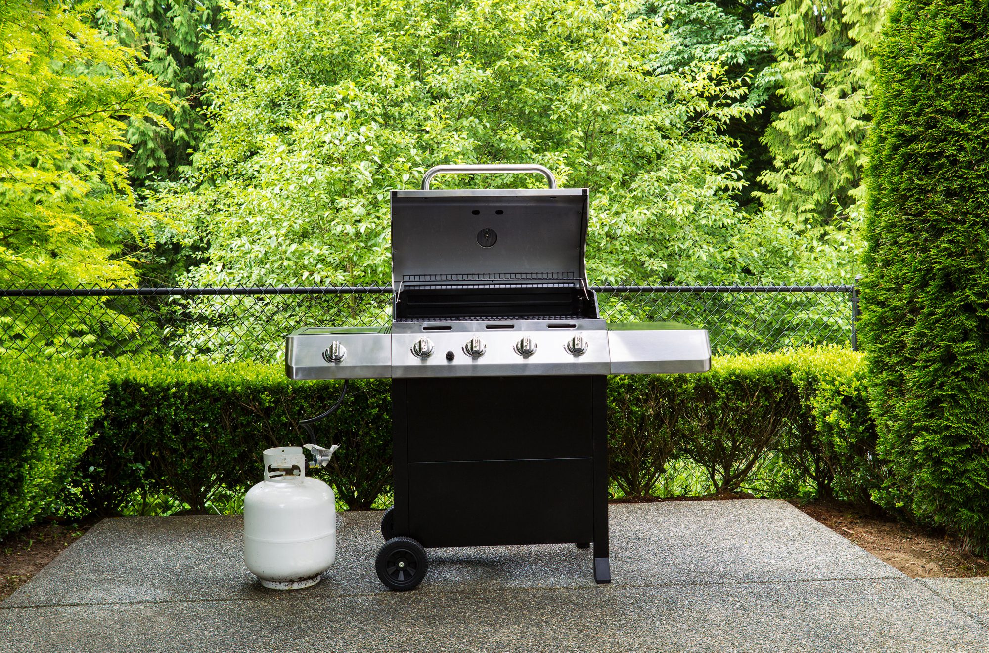 Uitgaan accent Azië Why Is My Propane Grill Tank Making Hissing Noises? | MyRecipes