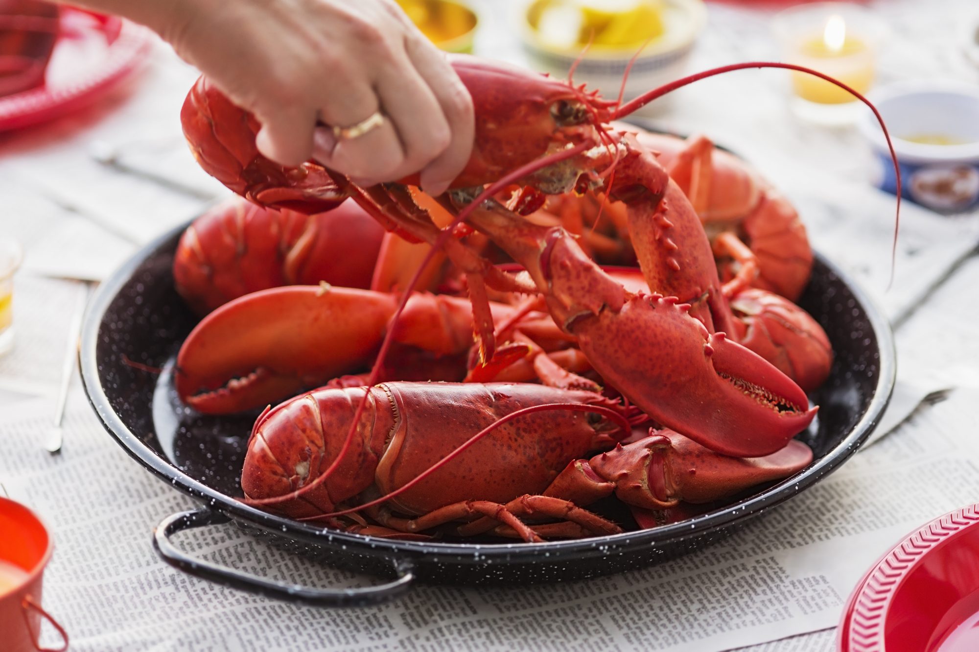 Don't Throw Away the Lobster Shells!