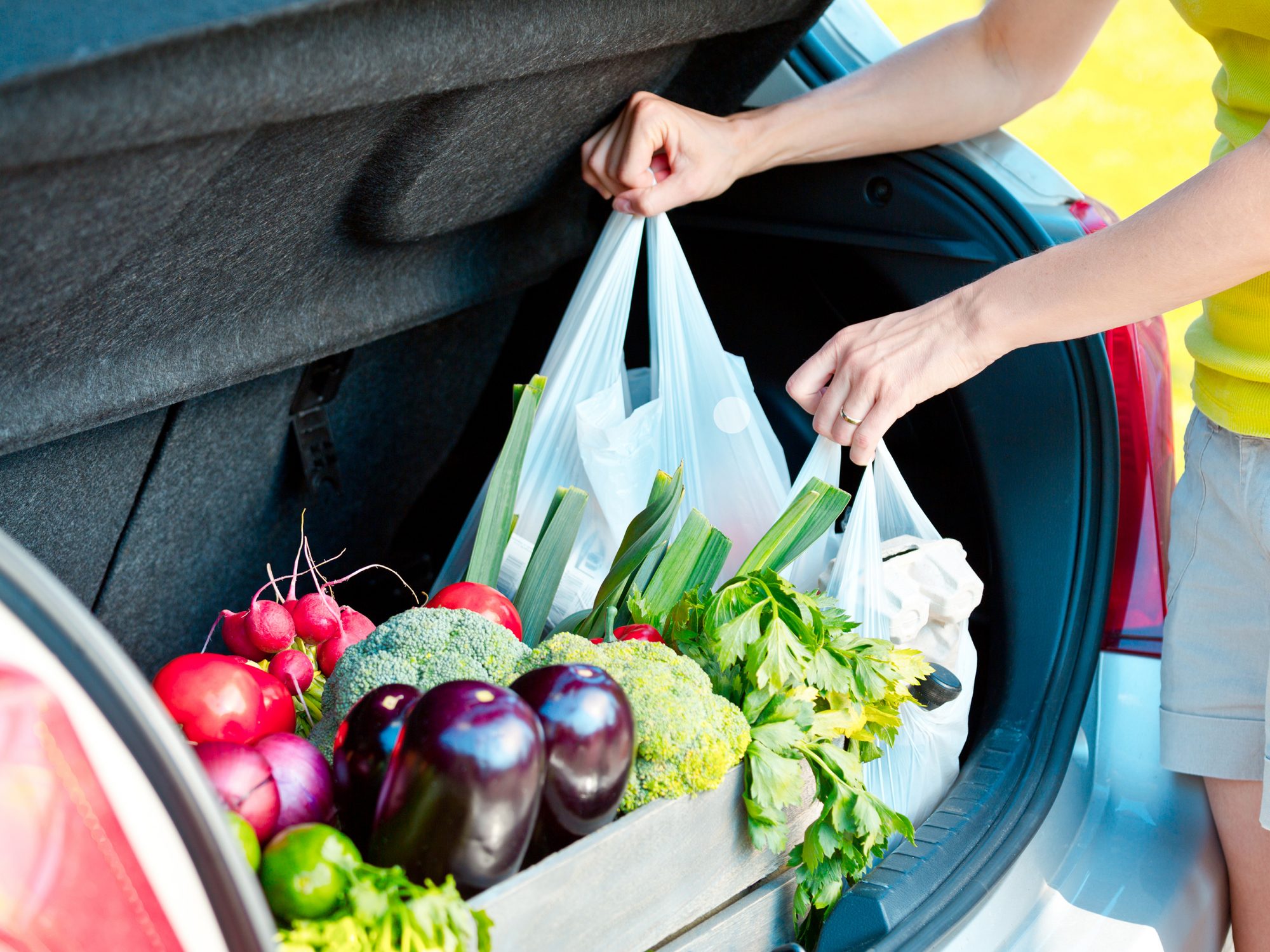 The Changing Logistics of Grocery Delivery: It's In The Bag