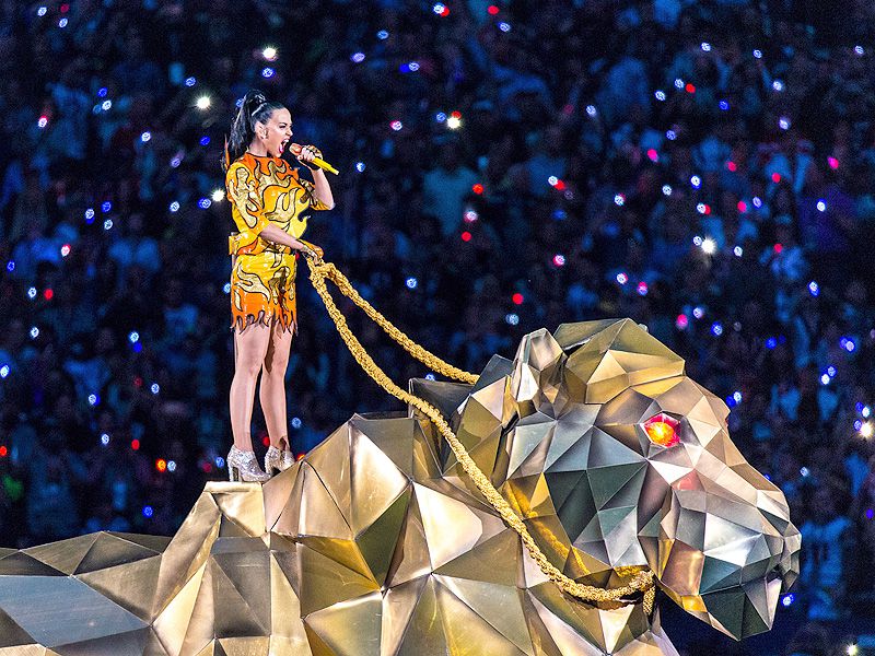 Katy Perry's Super Bowl Performance in Memes: 'The Hunger Games' & More |  PEOPLE.com