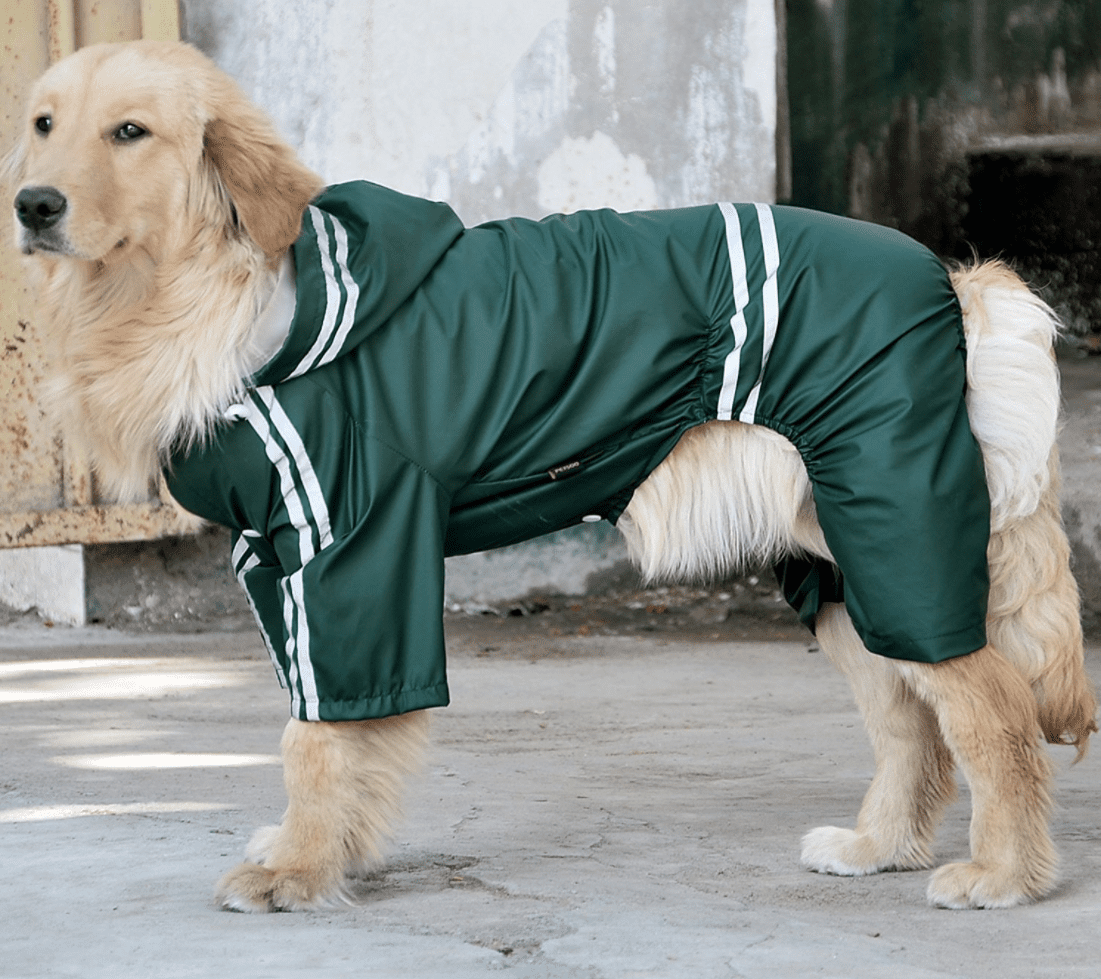 adidas sweatsuit for dogs