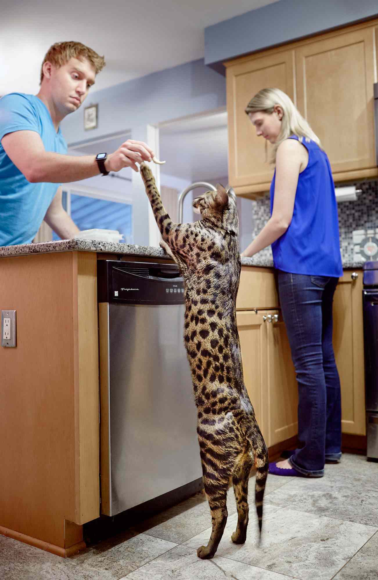 Worlds Tallest Cat 2017 | PEOPLE.com