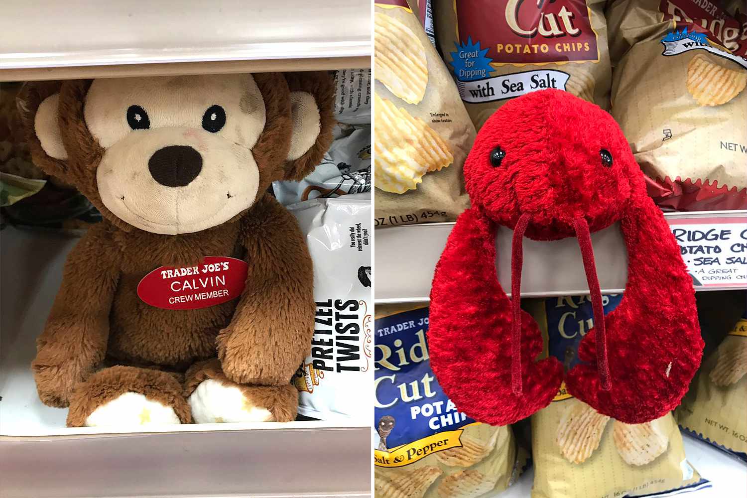 stuffed animal stores