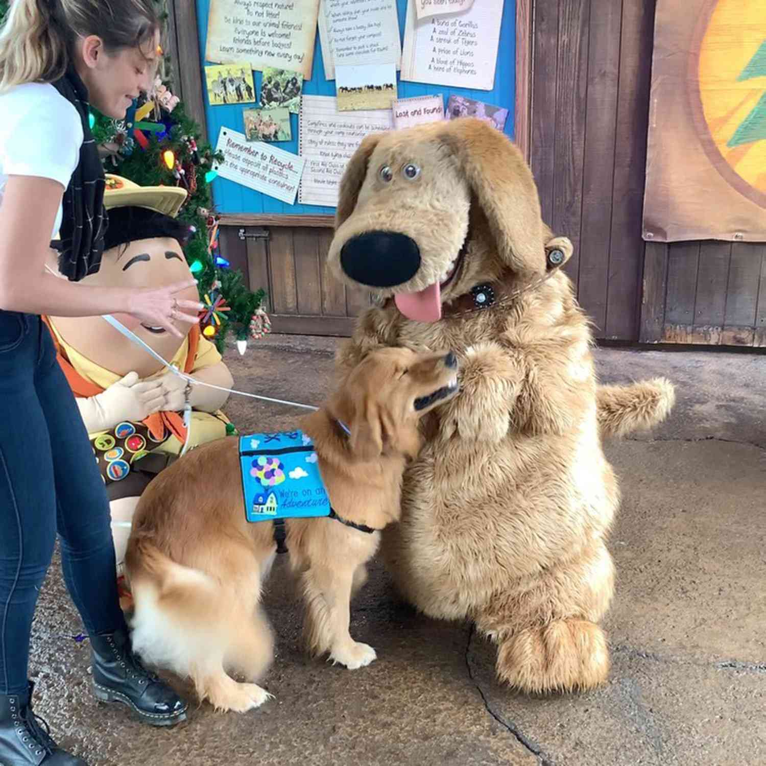 Service Dog Meets Dug From Up At Walt Disney World People Com