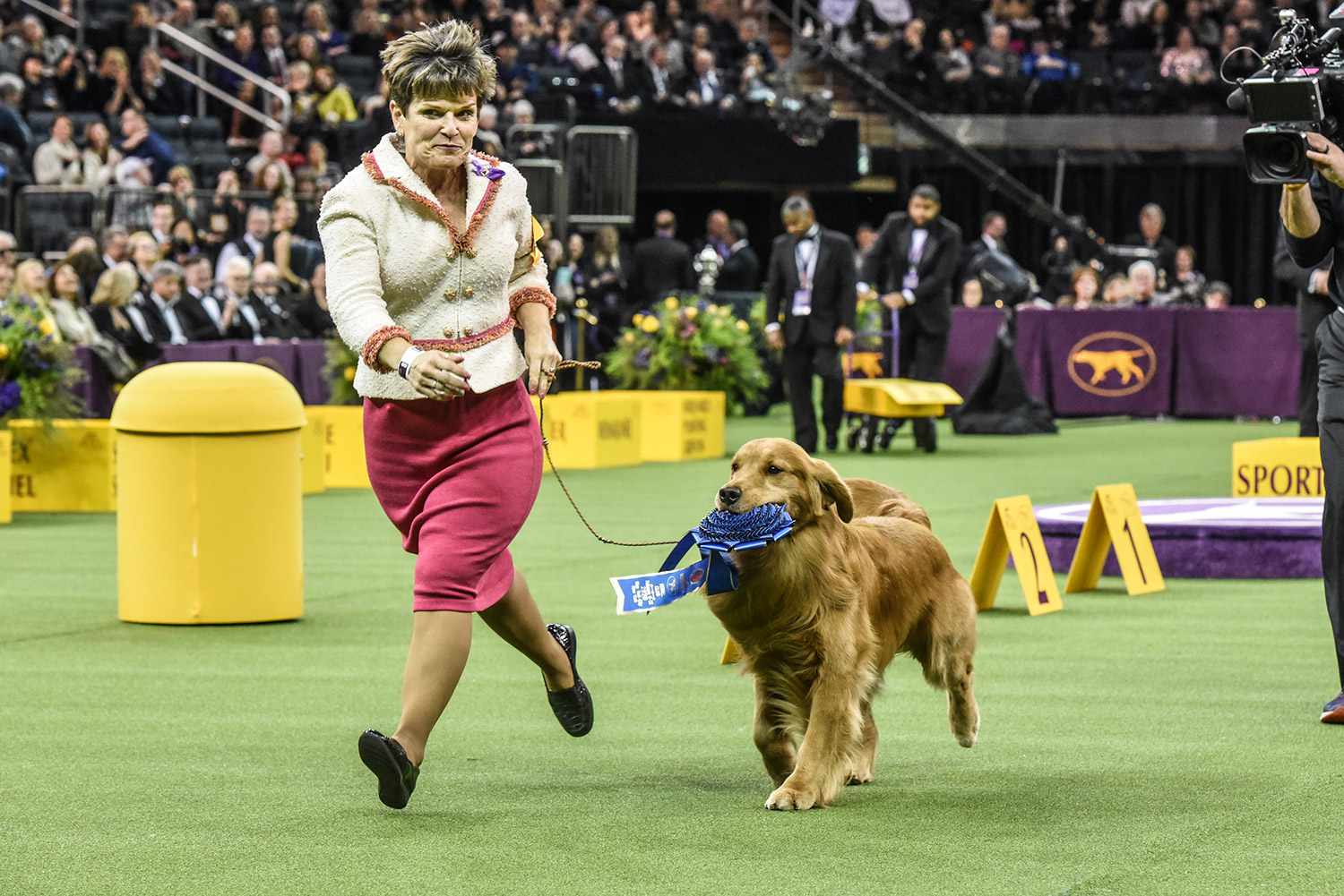 Westminster Dog Show to Move Outdoors in 2021 | PEOPLE.com