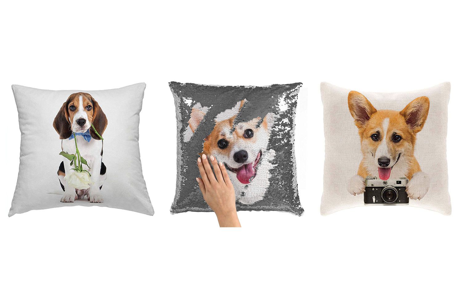 your pet on a pillow
