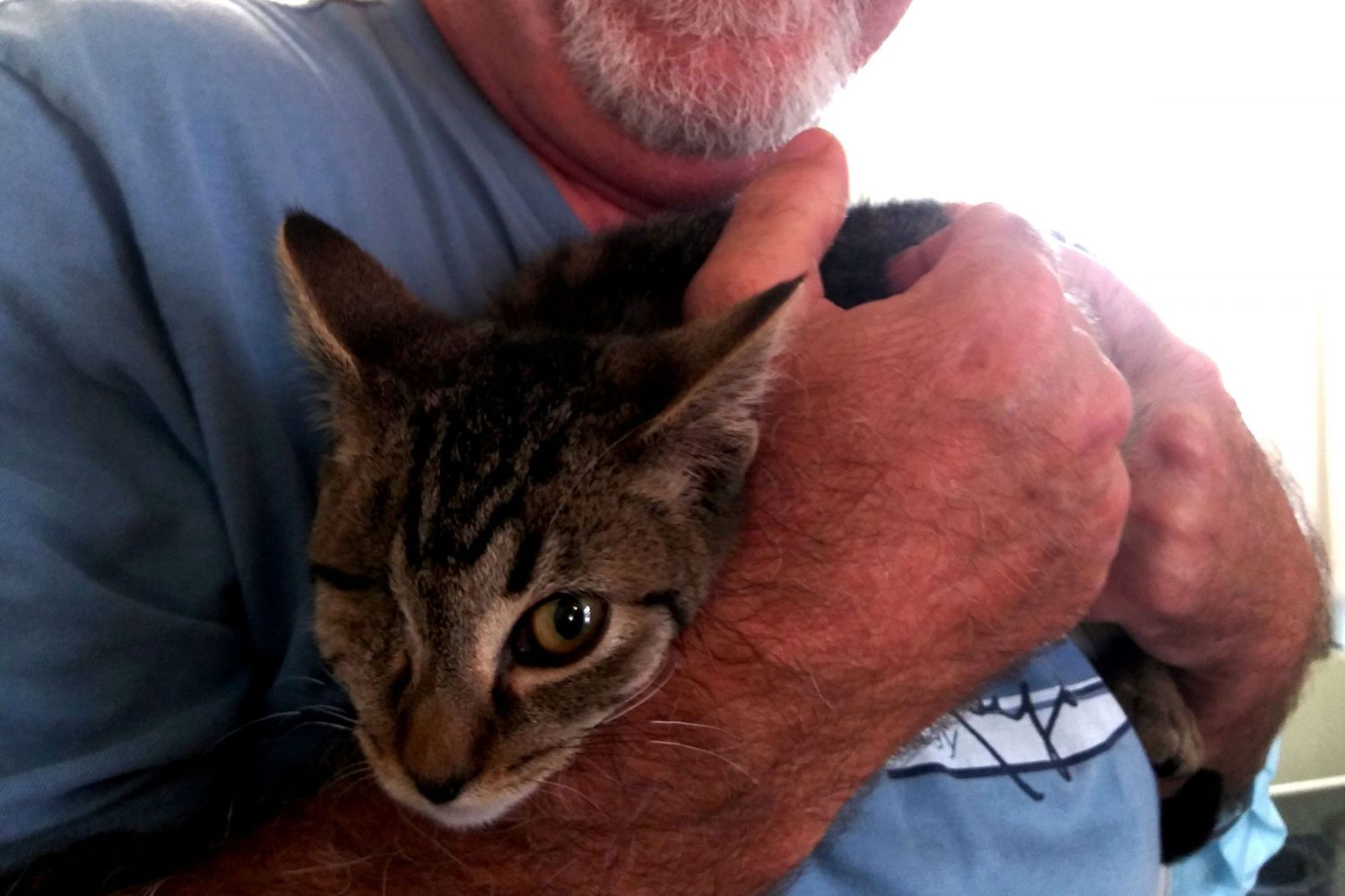 Man Who Lost His Eye In An Accident Rescues One Eyed Cat People Com
