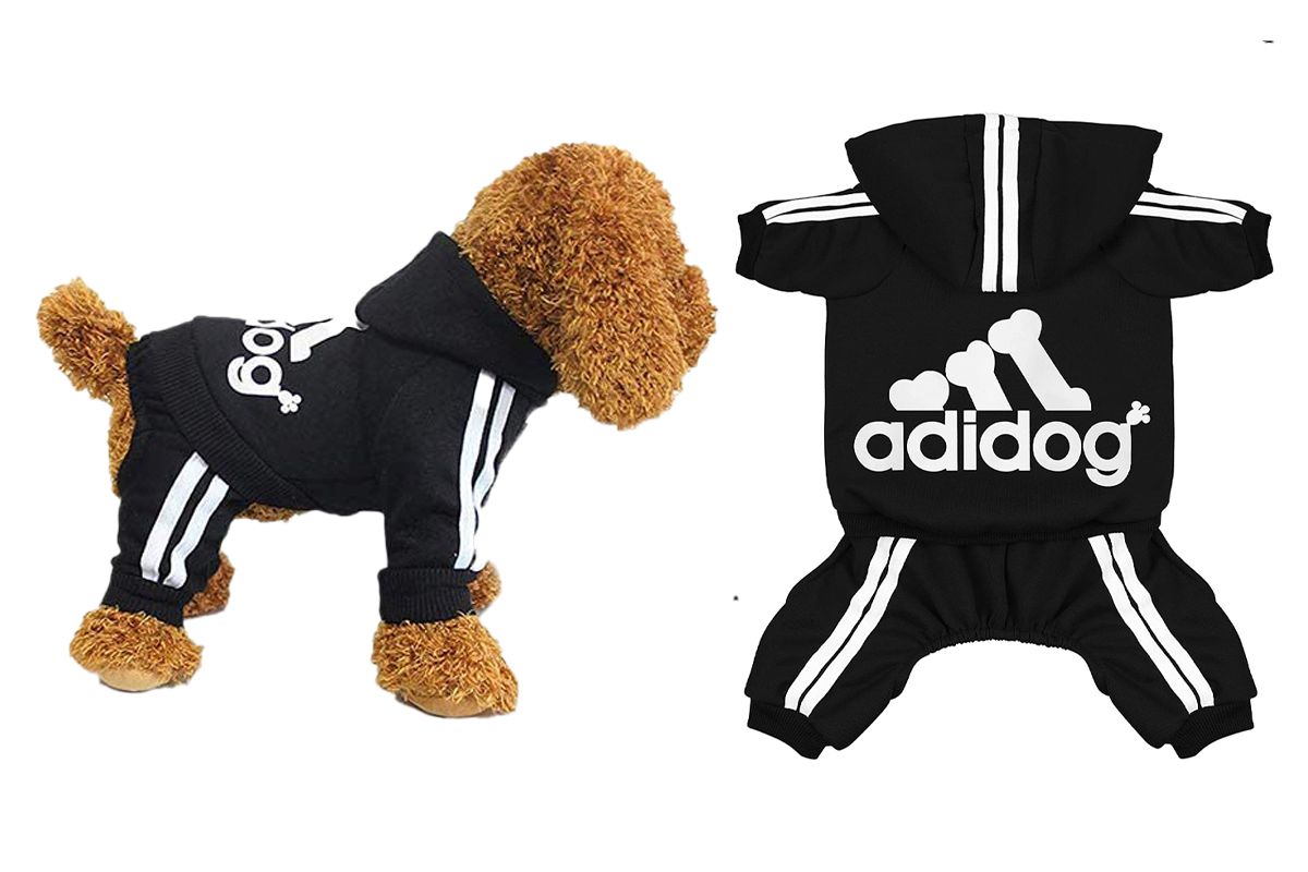 This Adidas-Style Dog Apparel Is an Amazon Best-Seller | PEOPLE.com