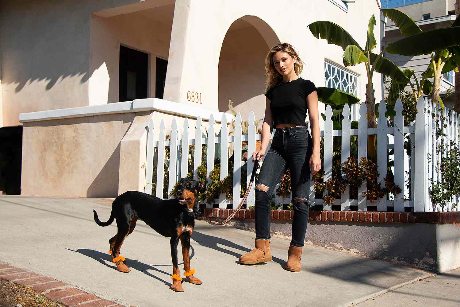Ugg Boots for Dogs Now Available 