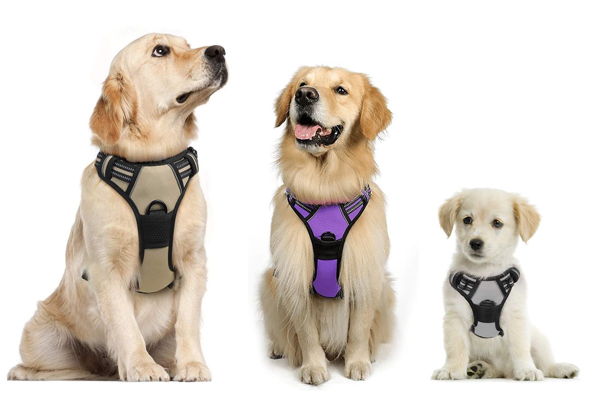 This No Pull Dog Harness And Leash Is A Game Changer For Training People Com