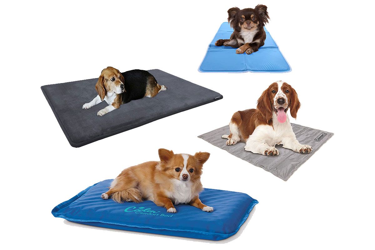 RCRunning-EU Dog Cooling Mat Pad 70 * 55 cm Pet Gel Self-Cooling Pad Durable Cool Mat Pad for Indoor Outdoor Dogs and Cats in Hot Summer Blue L