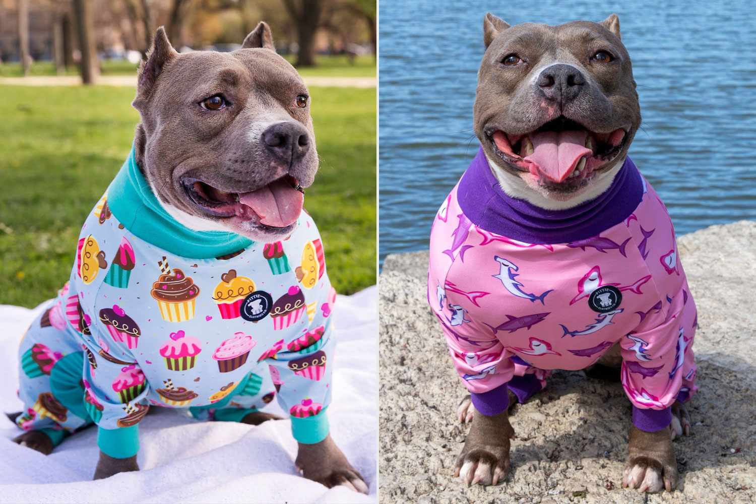 gift for pitbull rescue adopt pitbulls shirt dogs Pitbull dog shirt funny t shirt with pitbull dog face pitbull adoption shirt