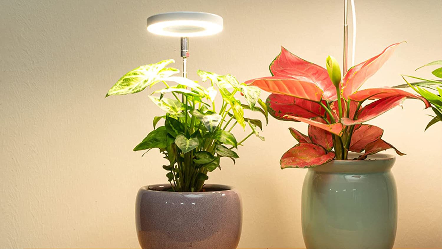 3W 48/60SMD/80SMD Spectrum Hydroponic Wachsen Licht Pflanzen for Indoor Plants 