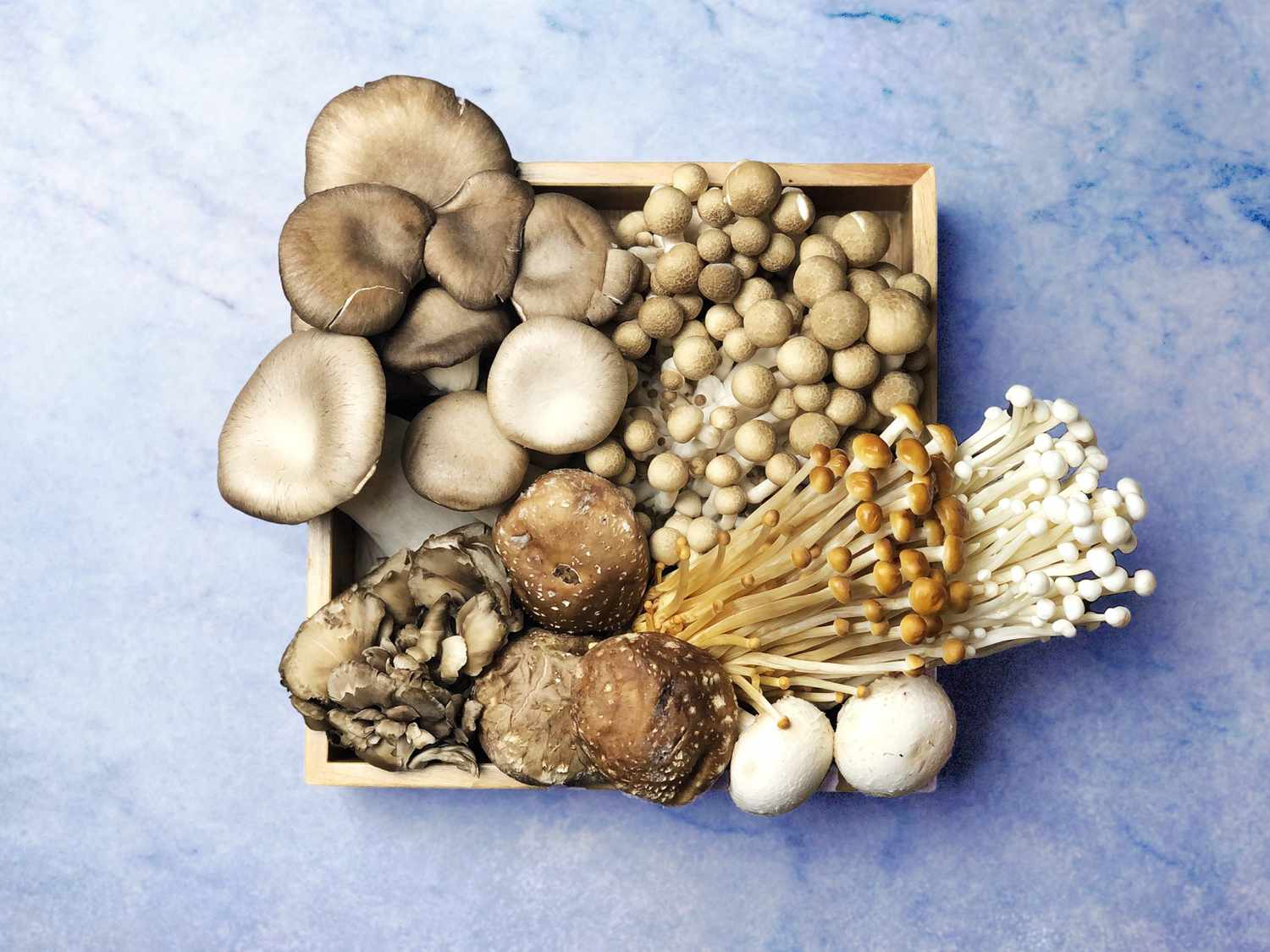Medicinal Importance Of Mushrooms