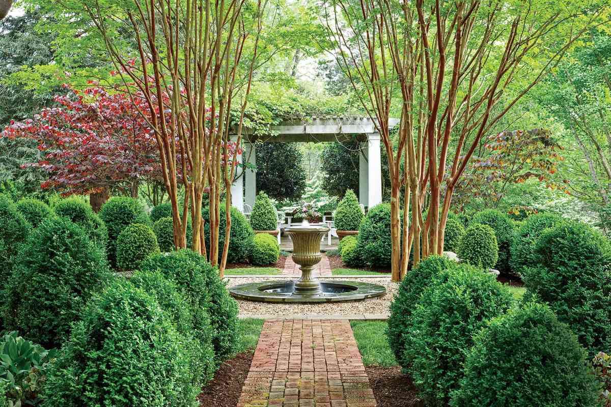 Nothing Beats Boxwood And Here S Why, Winter Gem Boxwood Landscaping Ideas