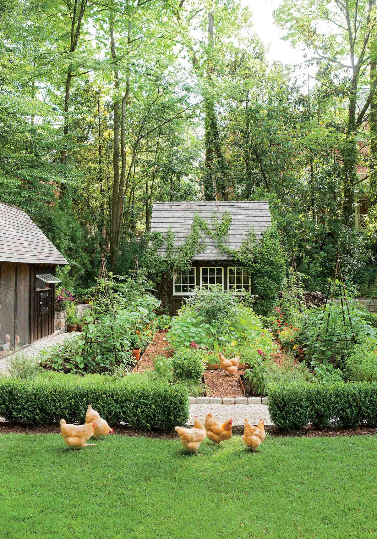 Dream Garden It Even Has A Chicken Coop Southern Living