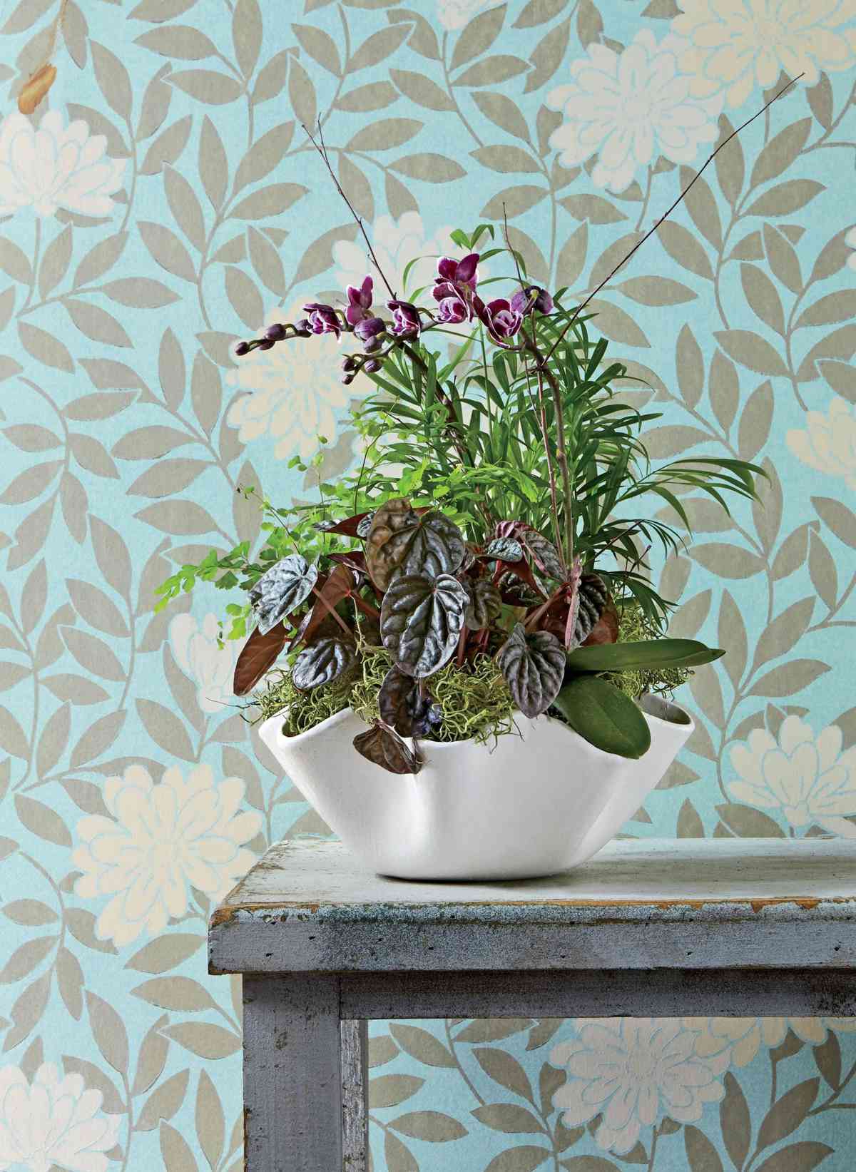 Better-way Ceramic Planter Modern Flower Pot Succulent Plant Container Decorative Indoor Pots 6 Pack Heart Rectangle