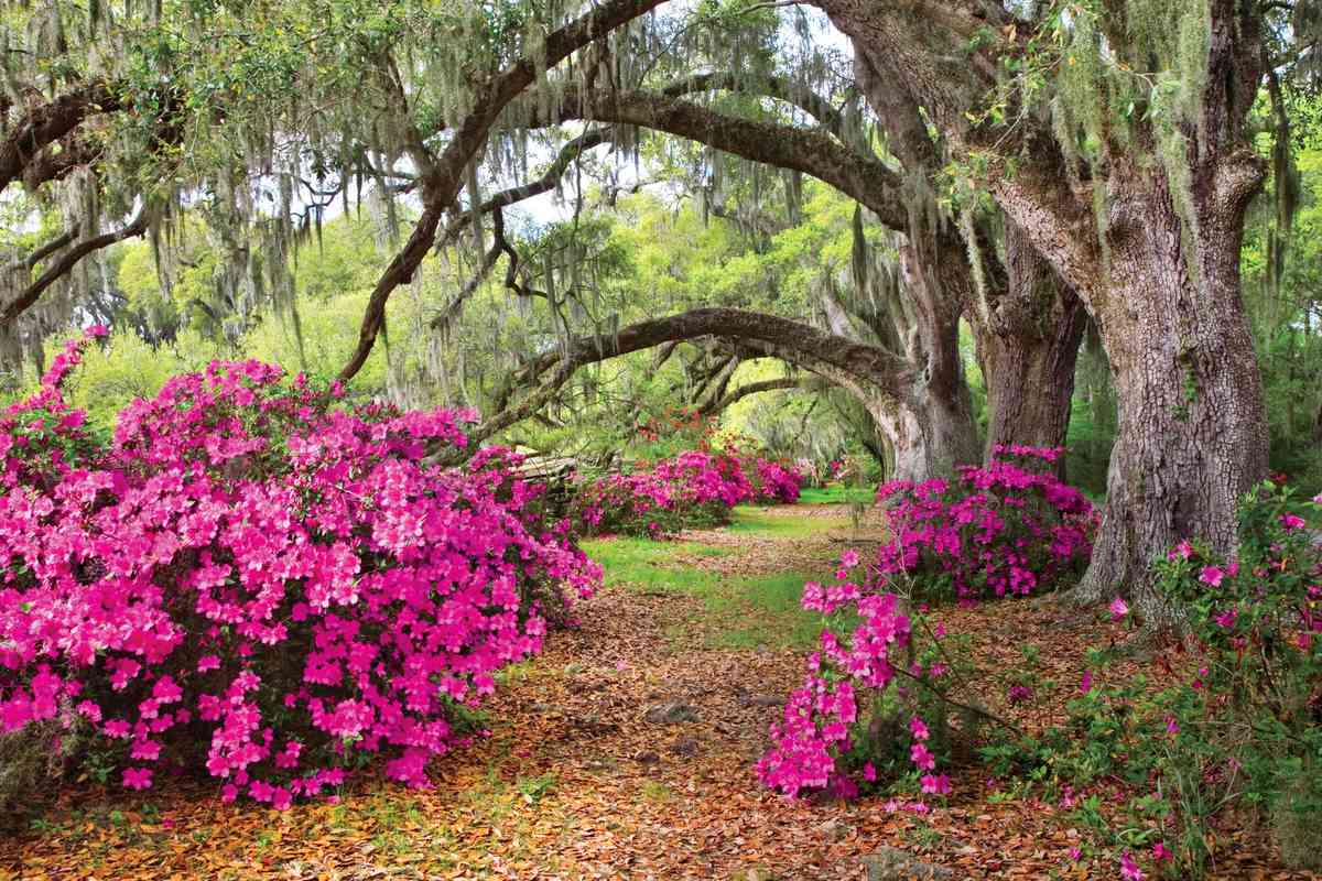 These Must Visit Botanical Gardens Will Give You Spring Fever Southern Living