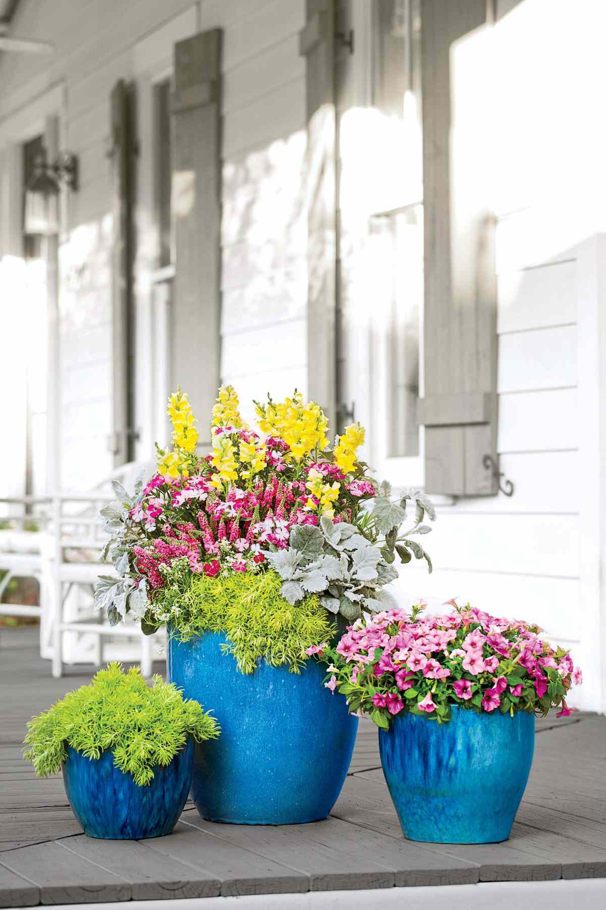 Wonderful Succulent Flower Pot pots NEW Blue with White Flowers 