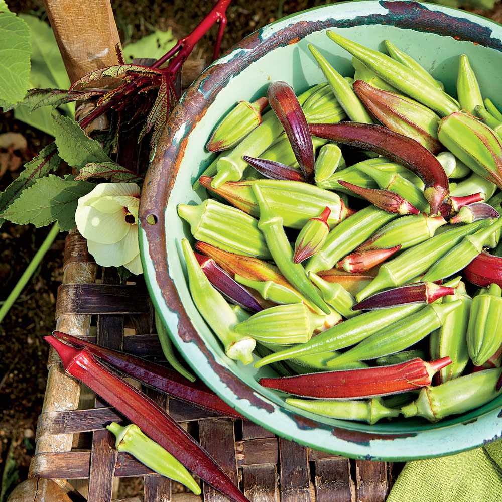 Cooking Okra Mistakes To Avoid Southern Living,Oil And Vinegar Dressing Recipe For Subs