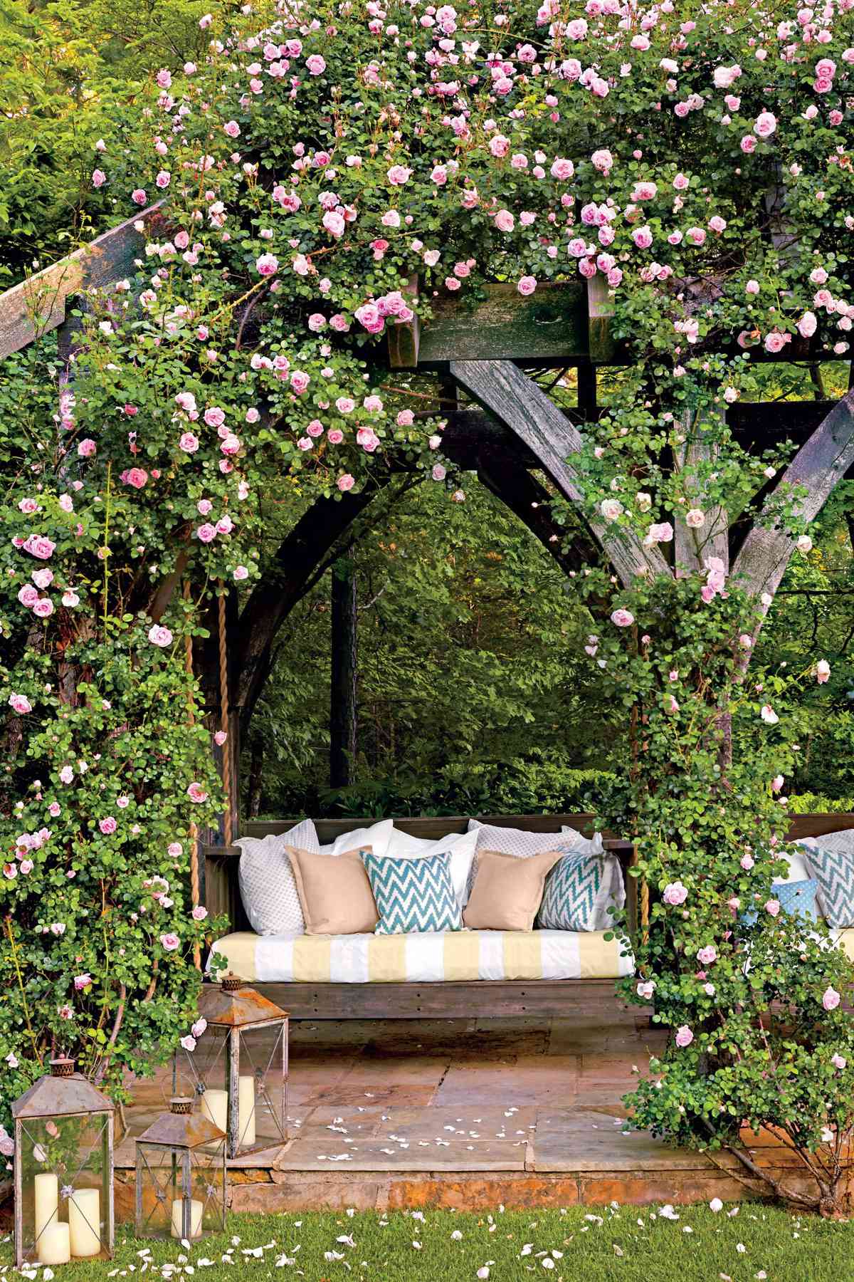 How To Grow Climbing Rose Southern Living