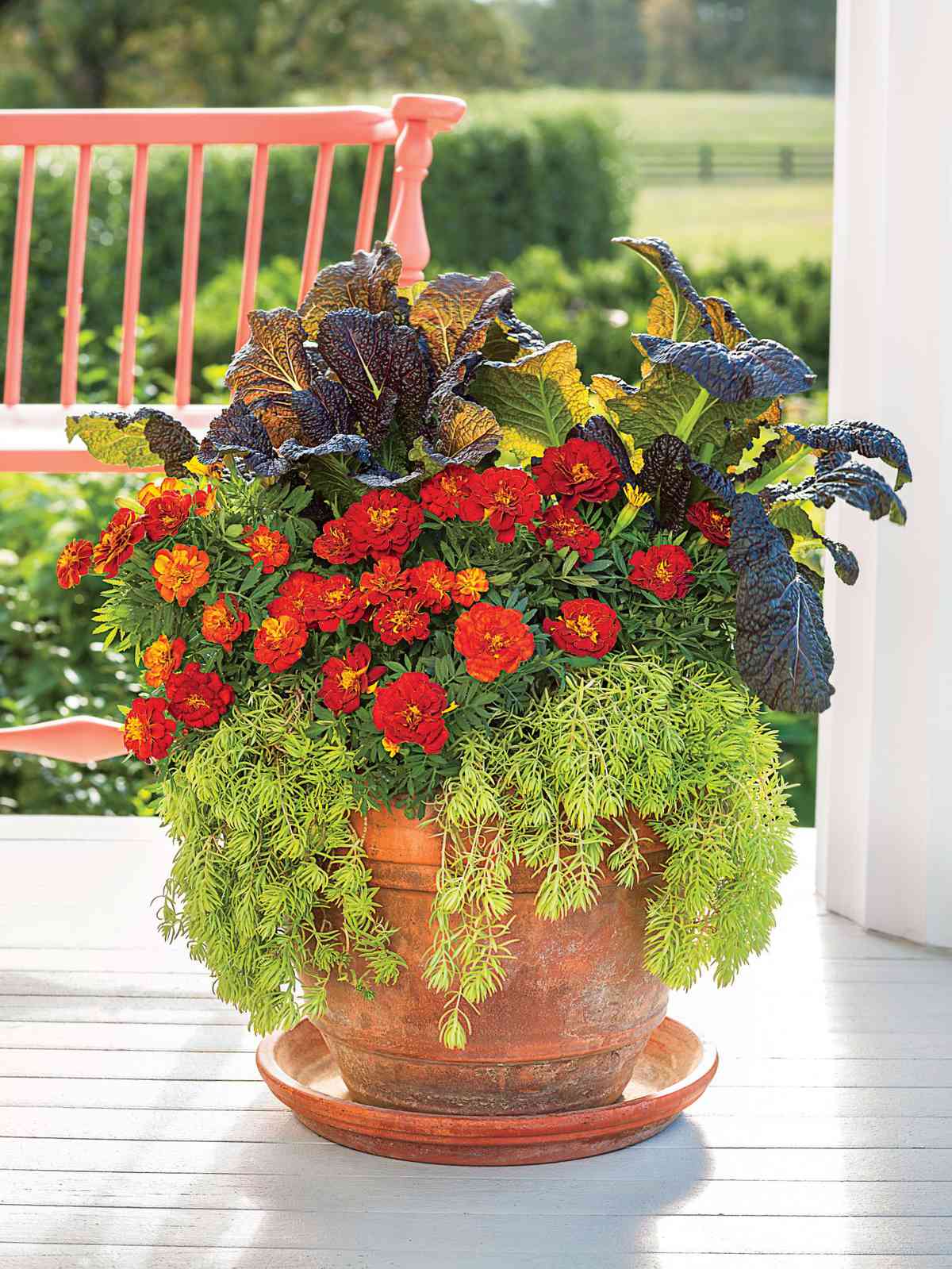 27 Fall Flowers For A Gorgeous Autumn, How To Make A Fall Flower Garden