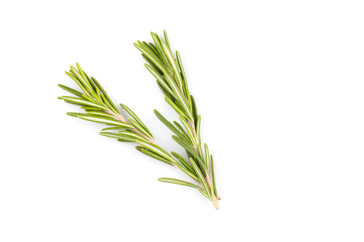 Rosemary Has Way More Benefits For Skin Than We Knew Southern Living,Kitchen Cabinet Soffit Lighting
