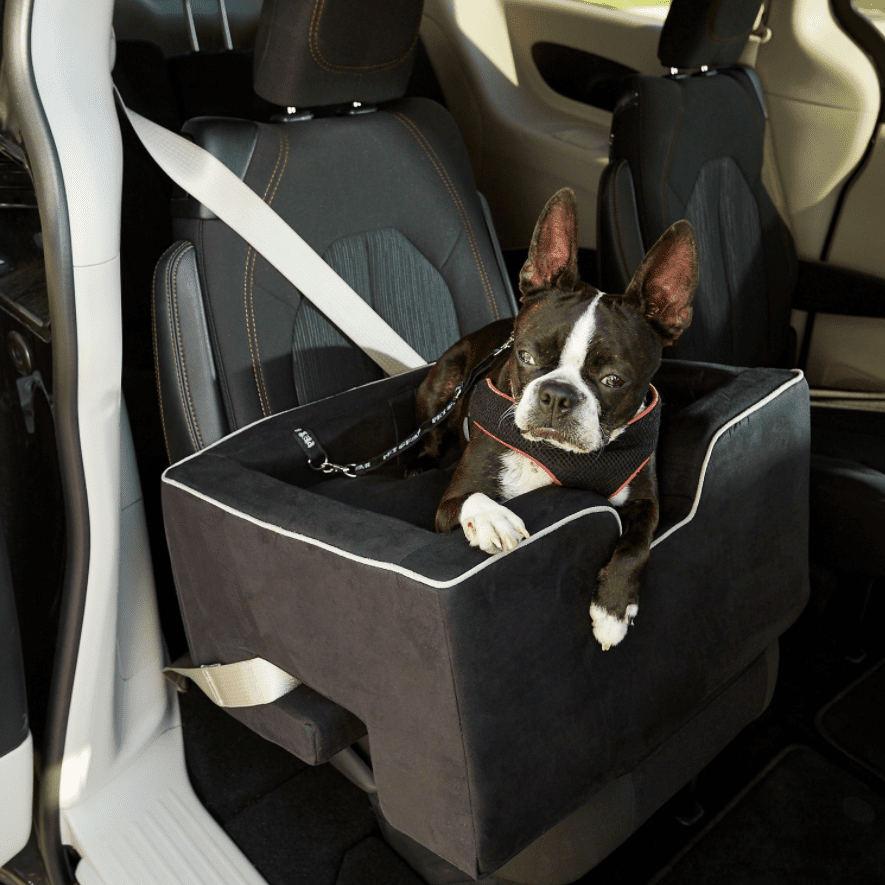 The Best Dog Car Seats To Keep Your, Puppy Dog Car Seat