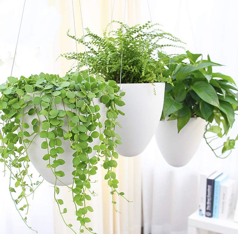 The Best Outdoor Hanging Planters To, What Are The Best Outdoor Planters