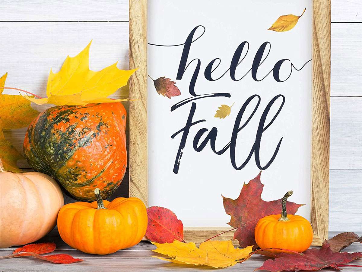 10 Best Fall Decor Pieces Under $30 on Amazon Now | Southern Living