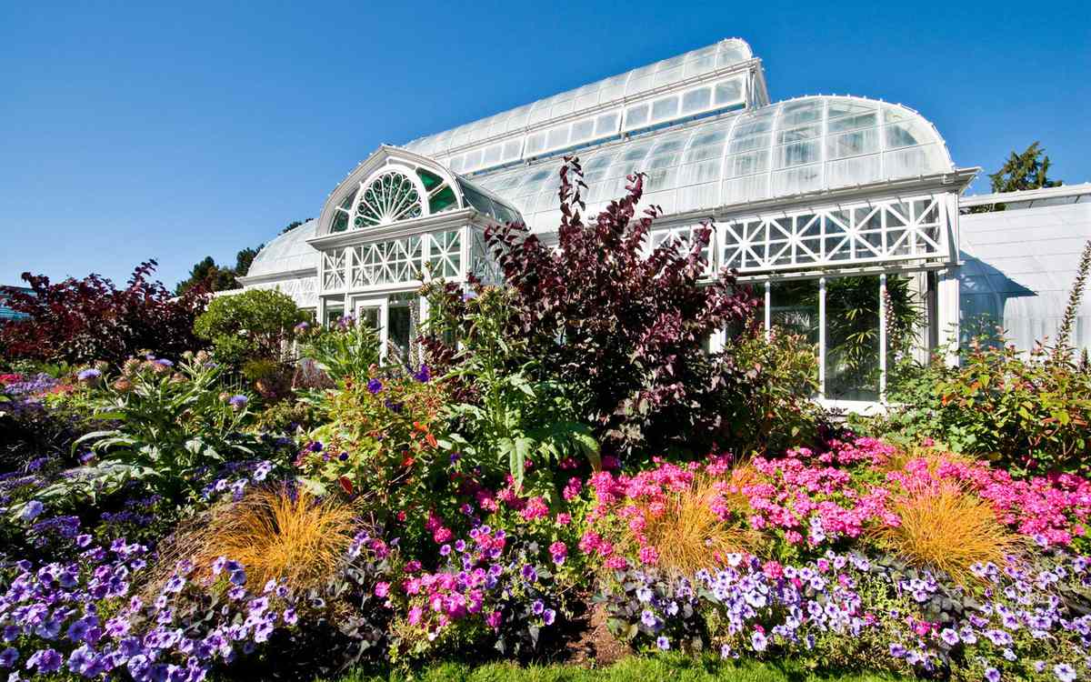 Volunteer Park Conservatory in Seattle Is Livestreaming Plants to Help You  Relax | Travel + Leisure | Travel + Leisure