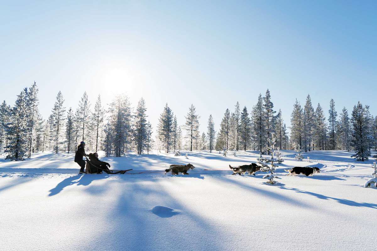Saunas, Northern Lights, and Winter Adventure in Finnish Lapland | Travel +  Leisure