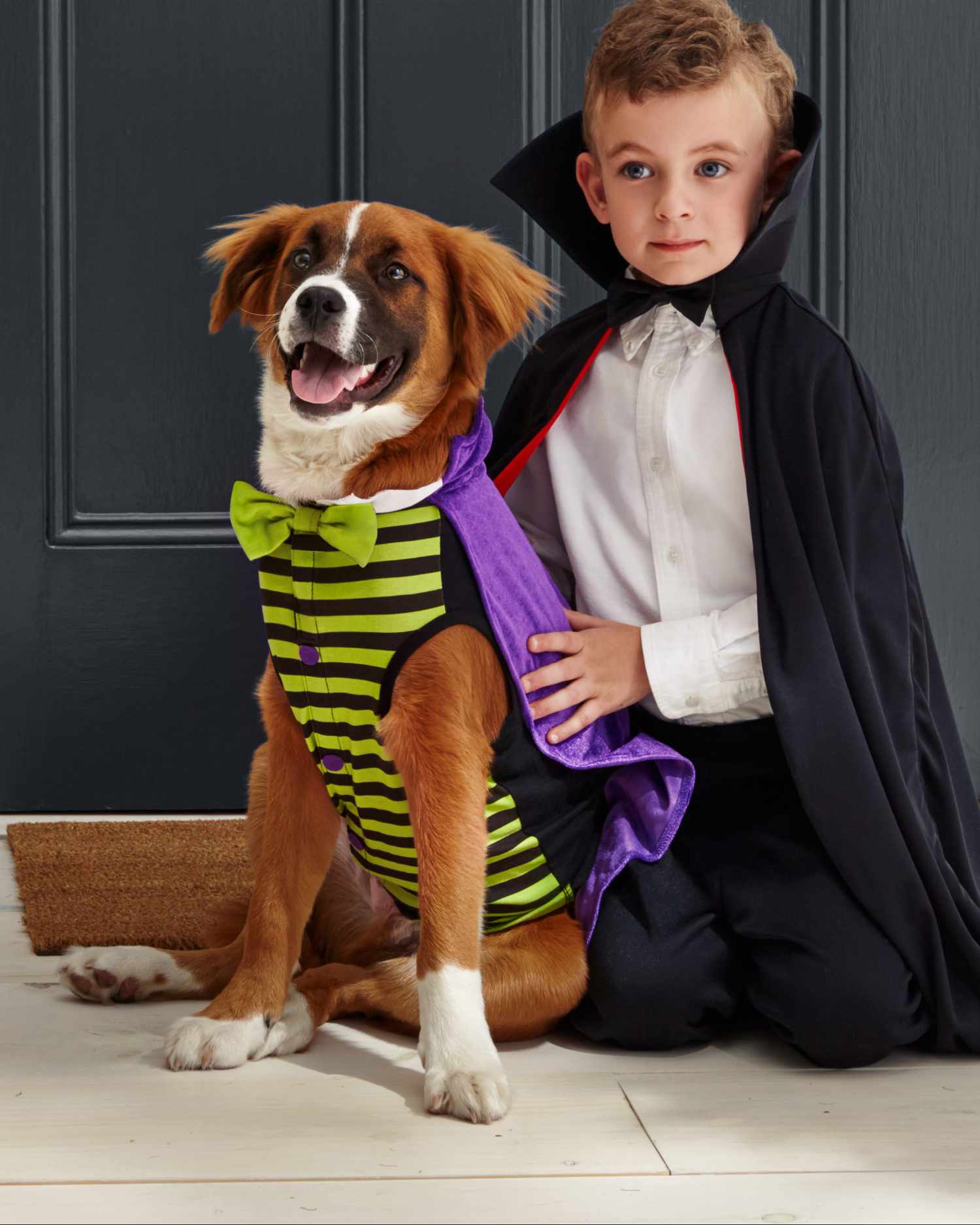 Matching Owner  and Dog  Costumes  for a Pet rifyingly Cute 