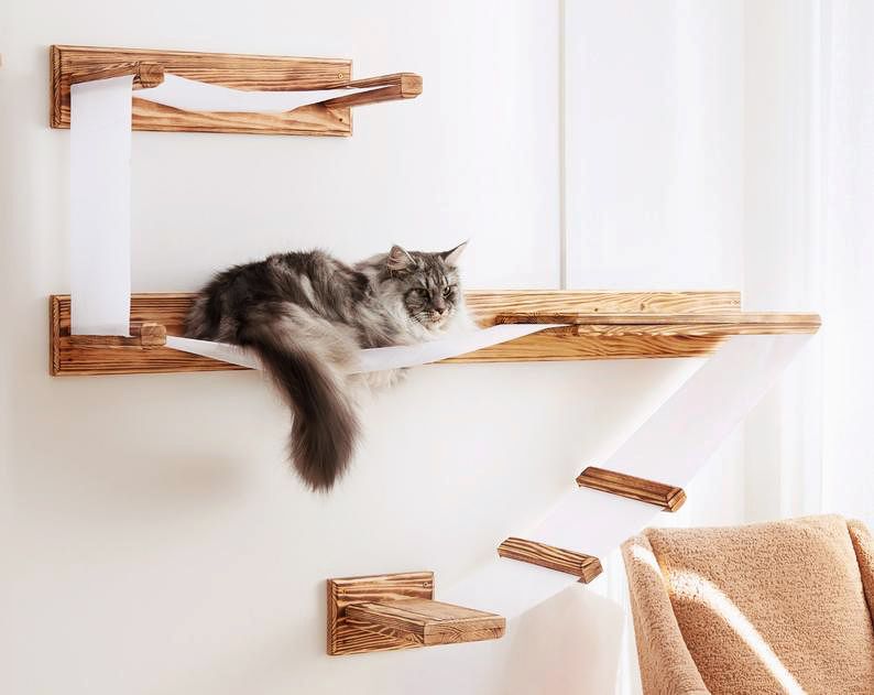 What To Know About Cat Shelving Martha Stewart - How To Make Wall Shelves For Cats