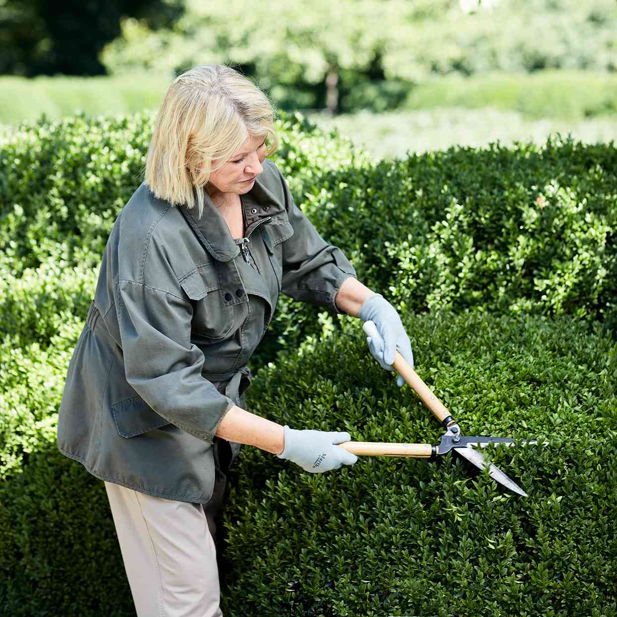 Garden Hedge Shears for Trimming and Shaping Borders,Decorative Shrubs and Bushe 
