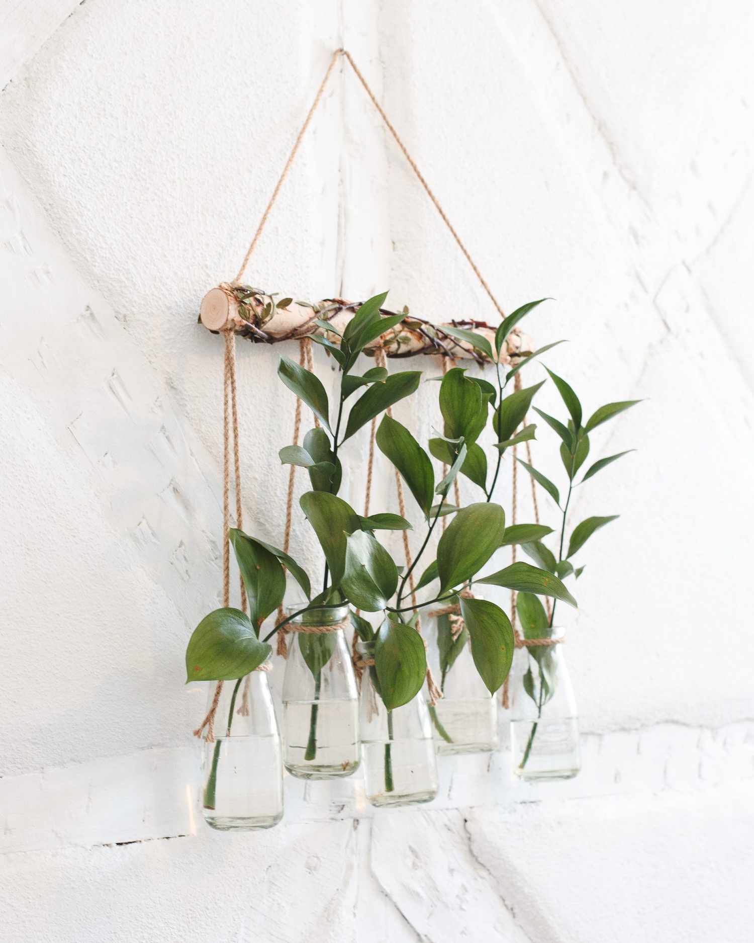 Unique Air Plant Hanging Basket For Wall