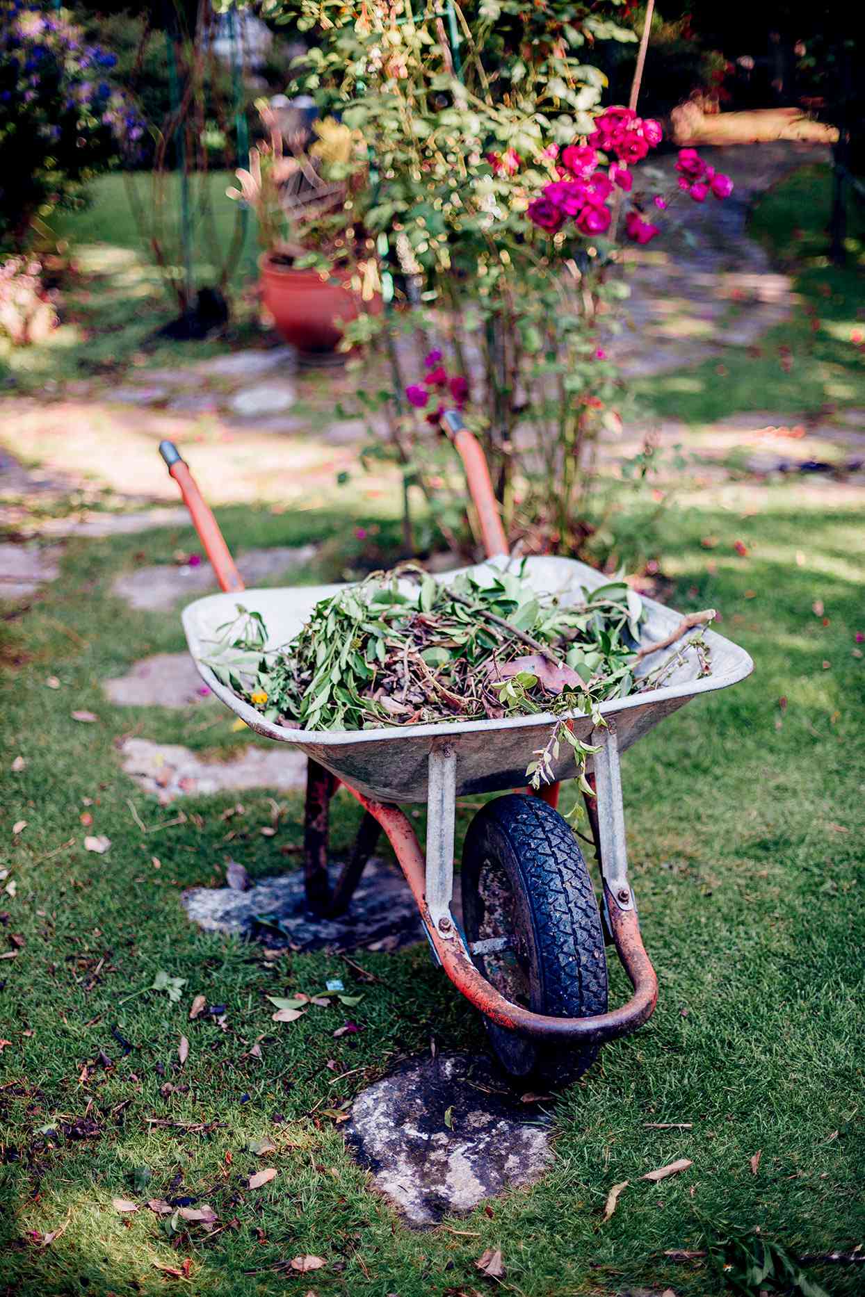 Poly Tray Yard Rover Wheelbarrow Garden W/ Metal Handle  Rust Proof Outdoor Yard 