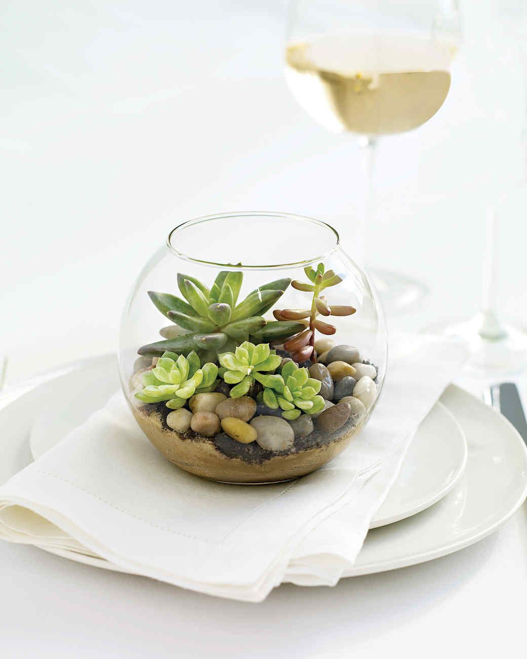 How to Plant Succulents in Glass Containers? 