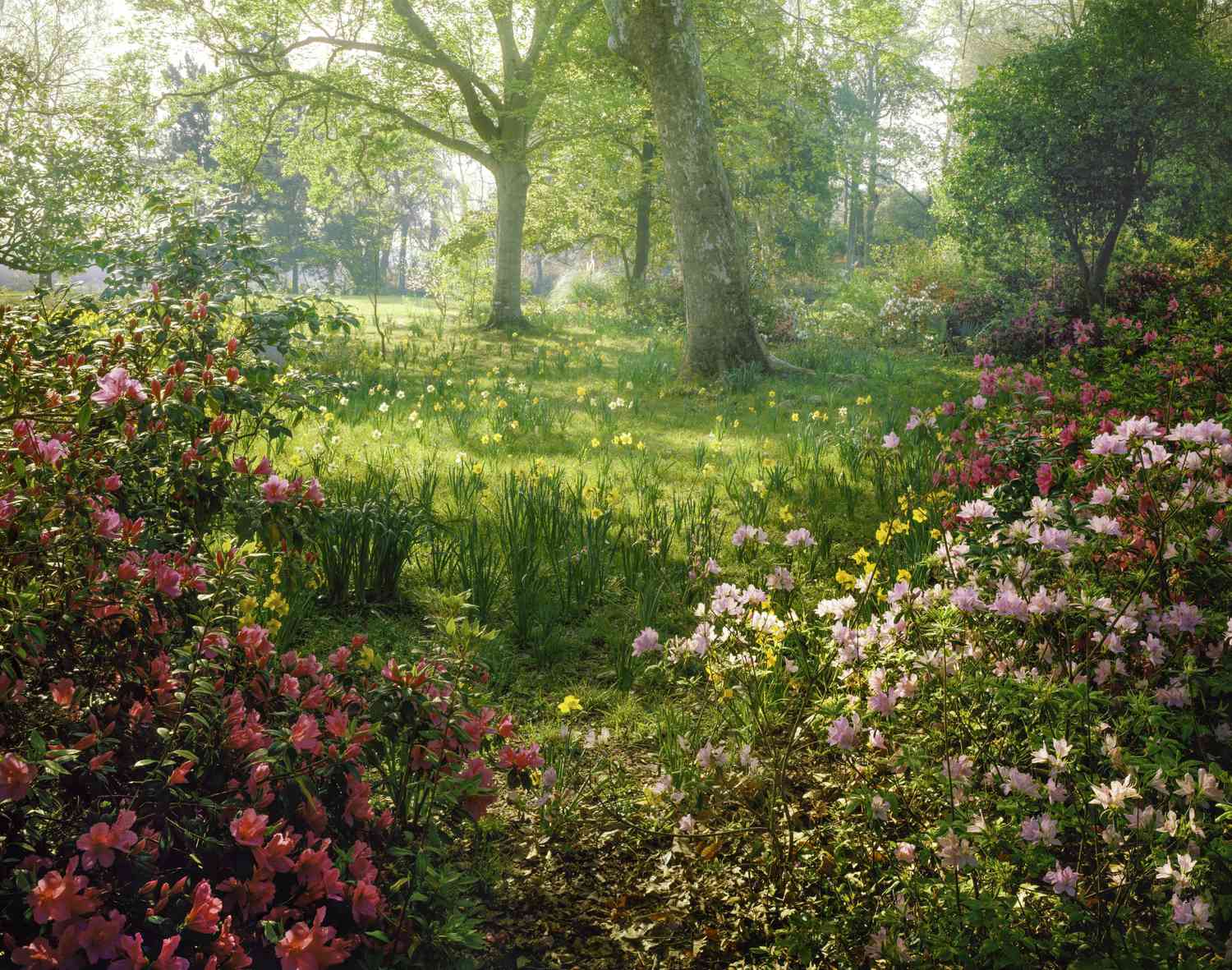 Where to Find Garden and Landscape Inspiration | Martha Stewart